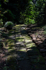 鎌倉249　光則寺2　木漏れ日