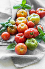 Fresh organic tomatoes