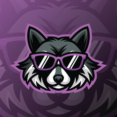 a raccoon head wearing purple glasses © YusufMC