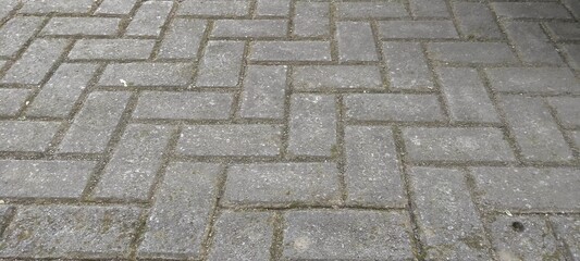 Paving Blocks Arranged for Pathway

