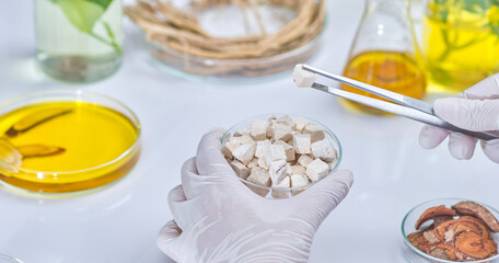 A scientist carefully use tweezers to pick up and meticulously observes a dry white crumb mass from a petri dish. Sample photos for laboratory experiments