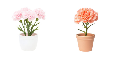 Obraz premium Beautiful floral arrangement of pink and peach carnations in elegant pots, perfect for home decor and floral design. transparent background