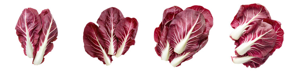 Obraz premium Fresh red lettuce leaves arranged artistically, showcasing vibrant colors and textures for culinary and health-related themes. transparent background