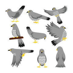 Set of Cuckoo Bird cartoon collection isolated with various gesture, flying, sitting branch,on white background, bird animals wildlife cucoos icons vector illustration for ornitology or nature design.