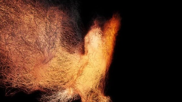 3d Animation of a phoenix created from particles, fire and smoke. Isolated on black with luma matte
