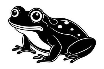 frog on white background