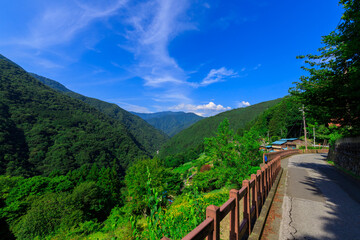 埼玉県秩父市の大滝道路と山間部の集落
