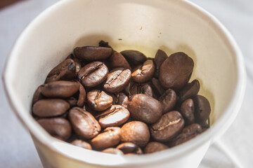 Coffee beans artistic shot in a white paper cup, brown bean, arabica and robusta, café, caffeine, white background, freshness, shot is selective focus with shallow depth of field, taken at Cairo Egypt
