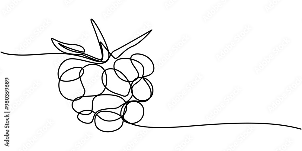 Poster raspberry vector color illustration, background, sketch banner for label design. one continuous line