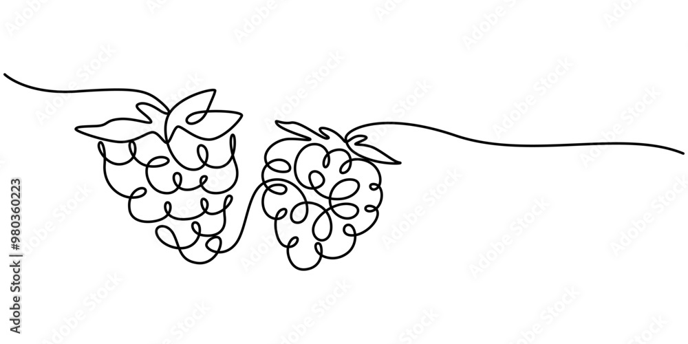 Poster raspberry vector color illustration, background, sketch banner for label design. one continuous line