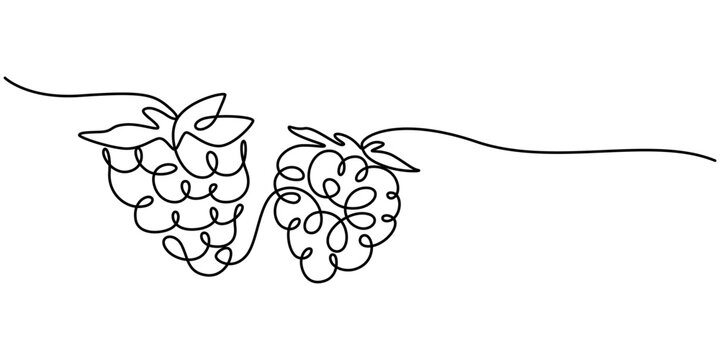 Raspberry vector color illustration, background, sketch banner for label design. One continuous line drawing of raspberry with lettering. Editable black stroke, Raspberry continuous one line drawing
