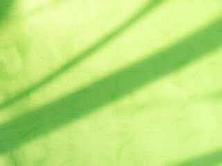 Green background shadow light overlay blur nature on cment floor wall backdrop, minimal room for presentation product tropical or ecosystem environment organic, platform empty abstract pastel.