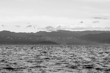 As the mountains stand tall in the port, the fishermen's boat sets sail.