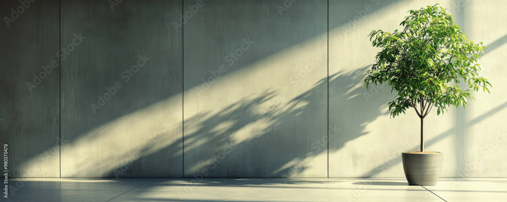 Poster a large tree is sitting in a pot in front of a wall. the tree casts a shadow on the wall, creating a