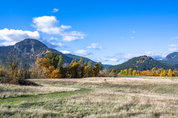 Autumn landscape with country road and meadow with yellowed grass and autumn trees at the foot of a...