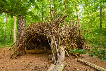 A giant self-built wooden hut in the forest 
