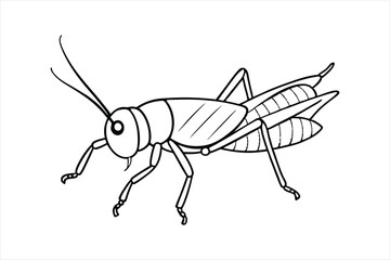 Grasshopper vector line art illustration