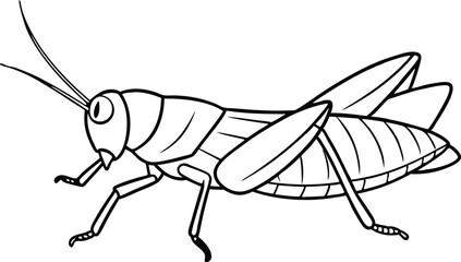 Grasshopper vector line art illustration