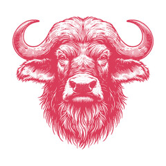 buffalo head vector illustration