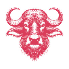 buffalo head vector illustration