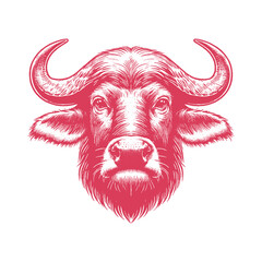 buffalo head vector illustration