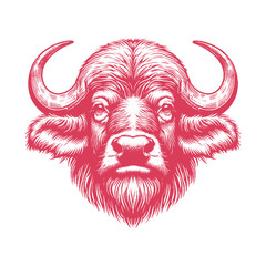 buffalo head vector illustration
