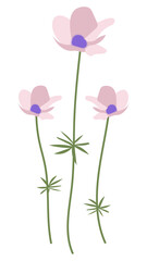 Naklejka premium Png wildflower diary sticker floral illustration