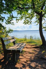 Peaceful Lakeside Bench in Lush Forest Offering Tranquil Retreat and Nature