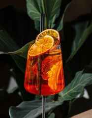 Refreshing aperol spritz cocktail standing on a table with tropical plants in the background