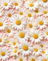 Subtle daisy petals with blush to pale yellow gradient