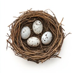 Obraz premium A close-up of a rustic bird's nest containing four speckled eggs, symbolizing nature and new beginnings.