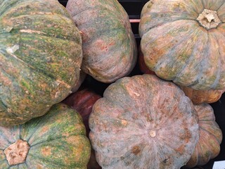 pumpkin on the market