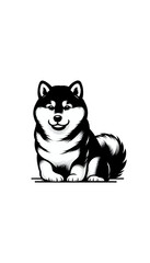 日本の柴犬のモノトーン画像。小型で機敏、独立心が強く、飼い主に対して忠実。