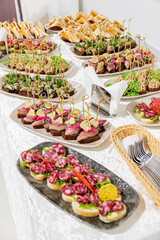 different appetizers on the catering table