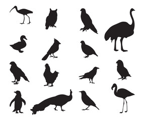 Bird silhouettes big collection designs