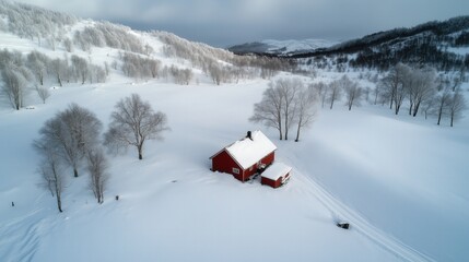 Serene winter landscape with red house amidst snowy forest - perfect for seasonal décor and holiday cards
