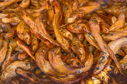รูปภาพSheat-Fish – เลือกดูภาพถ่ายสต็อก เวกเตอร์ และวิดีโอ1,958 | Adobe ...