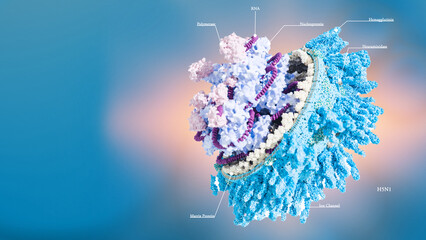 Scientific Accurate H5N1 virus responsible for bird flu, avian influenza virus H5N1 pandemic 3d...