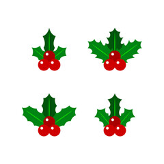 Various Shapes of Christmas Red Berries, Digital Art Illustration.