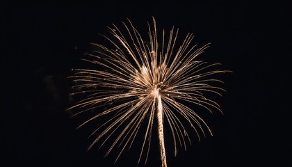 Obraz premium new year Fireworks