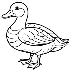 Obraz premium duck shullite isolated on white