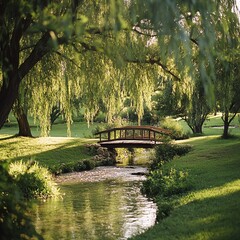 Obraz premium Lush green meadow with a canopy of willow trees and a small wooden bridge over a stream, fairytale wedding setting