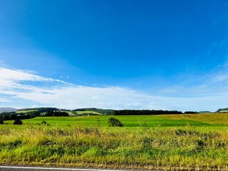 field and blue sky