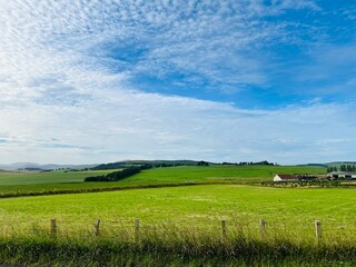 field and sky