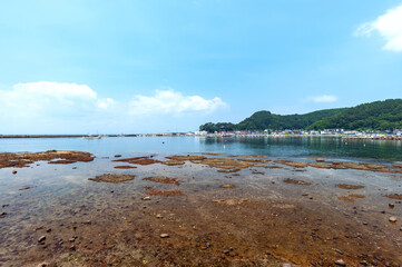 【青森県：資料】漁港の風景