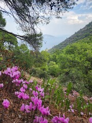 Obraz premium Beautiful Mountain View