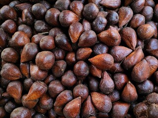 close up of snakefruit