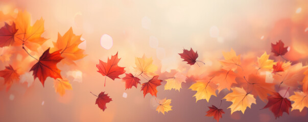Golden Autumn Leaves Falling