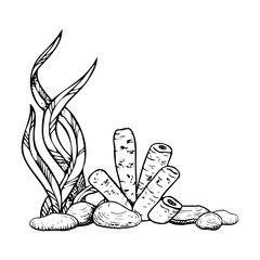 Seabed landscape with tube sponge, long seaweed and rocks with seaweed black and white vector illustration in line style. Red sea underwater nature ink sketch for tropical ocean and aquarium designs © Elena Malgina