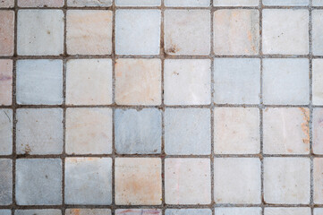 The background is made of aged tiles, a square clay floor in gray color
